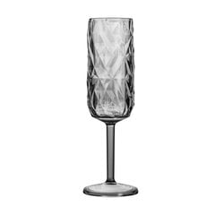 PRISMA CHAMPAGNE FLUTE Grey 180ml, 2 шт. цена и информация | Стаканы, фужеры, кувшины | kaup24.ee