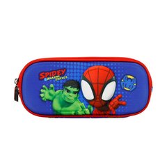 Kaheosaline 3D Spiderman Circles pliiatsikarp hind ja info | Pinalid | kaup24.ee