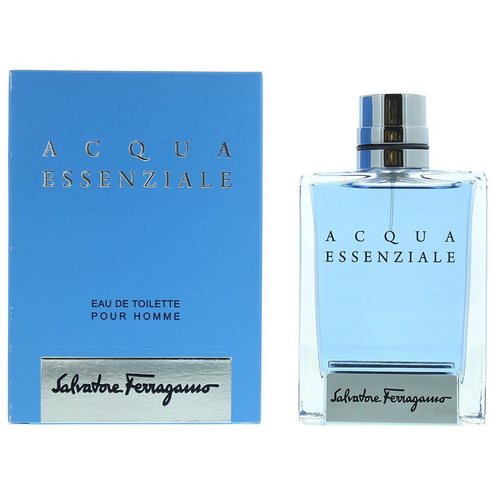 Meeste parfüüm Acqua Essenziale Homme Salvatore Ferragamo EDT: Maht - 100 ml hind ja info | Meeste parfüümid | kaup24.ee