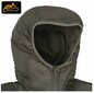 Meeste talvejope Helikon-Tex, Wolfhound Hood US, WildWood цена и информация | Meeste joped | kaup24.ee