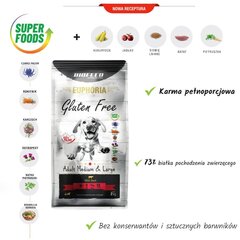 Biofeed Euphoria Gluteen Free Adult Medium&Large veiselihaga, 12kg hind ja info | Kuivtoit koertele | kaup24.ee