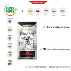 Biofeed Euphoria Gluteen Free Adult Small&Medium veiselihaga, 12kg цена и информация | Сухой корм для собак | kaup24.ee