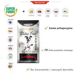 Biofeed Euphoria Gluten Free Adult Mini&Small veiselihaga, 12kg цена и информация | Сухой корм для собак | kaup24.ee