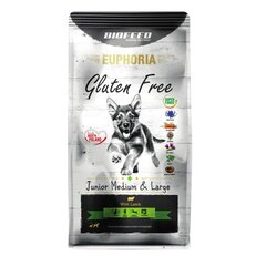 Biofeed Euphoria Gluten Free Junior Medium&Large lambaga, 12 kg цена и информация |  Сухой корм для собак | kaup24.ee