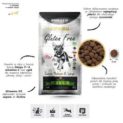 Biofeed Euphoria Gluten Free Junior Medium&Large lambaga, 12 kg цена и информация | Сухой корм для собак | kaup24.ee