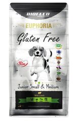 Biofeed Euphoria Gluten Free Junior Small&Medium lambaga, 12 kg цена и информация | Сухой корм для собак | kaup24.ee