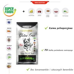 Biofeed Euphoria Gluten Free Junior Mini&Small lambaga, 12 kg цена и информация | Сухой корм для собак | kaup24.ee