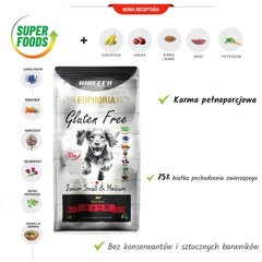 Biofeed Euphoria Gluten Free Junior Small&Medium veiselihaga, 12kg hind ja info | Kuivtoit koertele | kaup24.ee