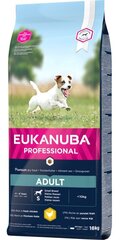 Сухой корм для собак - Eukanuba Adult, Small, Chicken, 18 кг цена и информация | Сухой корм для собак | kaup24.ee