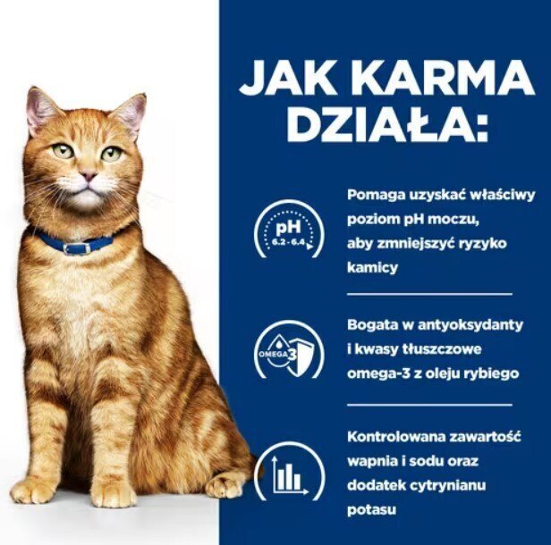 Hill's PD C/D Urinary Care, 3 kg цена и информация | Kuivtoit kassidele | kaup24.ee