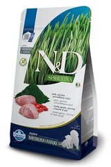 Farmina N&D Spirulina Lamb Puppy Medium/Maxi lambaga, 2 kg hind ja info | Kuivtoit koertele | kaup24.ee