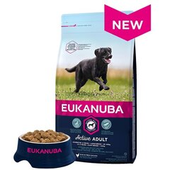 Сухой корм для собак - Eukanuba Adult Large Breed Chicken, 16,5 кг цена и информация | Сухой корм для собак | kaup24.ee