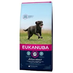 Сухой корм для собак - Eukanuba Adult Large Breed Chicken, 16,5 кг цена и информация | Сухой корм для собак | kaup24.ee