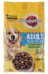 Pedigree Сухой корм для собак с курицей 10кг цена и информация | Сухой корм для собак | kaup24.ee