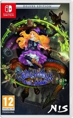 GrimGrimoire OnceMore – Deluxe Edition Switch mäng hind ja info | Arvutimängud, konsoolimängud | kaup24.ee