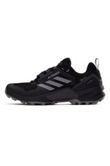 ADIDAS TERREX SWIFT R3 GTX Meeste kingad, Nr. 44 ⅔ HR1310_44_23 hind ja info | Meeste kingad, saapad | kaup24.ee