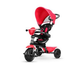 Qplay Tricycle Cosy Red цена и информация | Трехколесные велосипеды | kaup24.ee