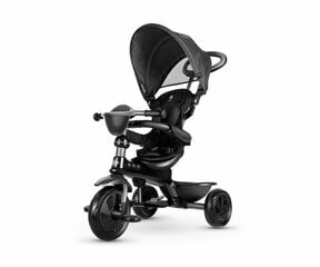 Qplay Tricycle Cosy Black цена и информация | Трехколесные велосипеды | kaup24.ee