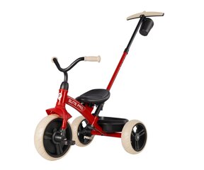 Qplay Tricycle Elite Pro Red цена и информация | Прицепы для велосипеда | kaup24.ee