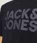 Jack & Jones laste T-särk 12152730*06, must 5715425367816 цена и информация | Naiste T-särgid, topid | kaup24.ee