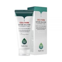 FARM STAY CICA Farm Nature Solution Cleansing Foam 180 ML - Очищающая пенка для лица цена и информация | Аппараты для ухода за лицом | kaup24.ee