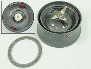 DeLonghi klaasist blenderi montaaž Blender Unit Assy Seal Ring Grey Genuine KW715967 hind ja info | Kodumasinate lisatarvikud | kaup24.ee