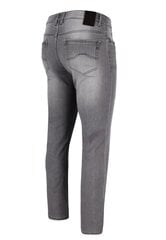 Meeste hallid Slim Fit teksad Volcano D-Leon 52 29-35 hind ja info | Meeste teksad | kaup24.ee