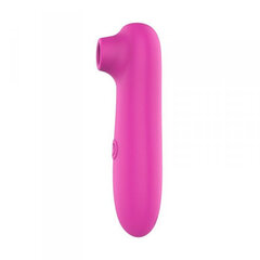 Boss Of Toys Air Stimulator USB 10 functions Dark Pink цена и информация | Вибраторы | kaup24.ee