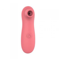 Boss Of Toys Air Stimulator USB 10 functions Peach цена и информация | Вибраторы | kaup24.ee