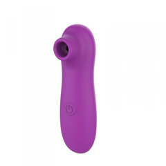 Boss Of Toys Air Stimulator USB 10 functions Purple цена и информация | Вибраторы | kaup24.ee