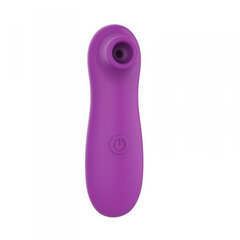 Boss Of Toys Air Stimulator USB 10 functions Purple цена и информация | Вибраторы | kaup24.ee