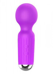 Masseerija Rechargeable Mini Masager, lilla hind ja info | BDSM ja fetish | kaup24.ee