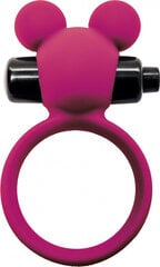 Virgite Vibrating Ring - Pink цена и информация | БДСМ и фетиш | kaup24.ee