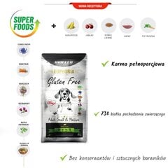 Biofeed Euphoria Gluten Free väikeste ja keskmiste tõugude täiskasvanud koertele lambalihaga, 2 kg hind ja info | Kuivtoit koertele | kaup24.ee