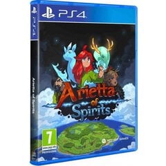 Arietta of Spirits PS4 игра цена и информация | Компьютерные игры | kaup24.ee