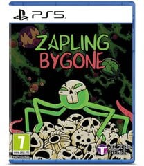 Zapling Bygone PS5 игра цена и информация | Компьютерные игры | kaup24.ee