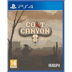 Colt Canyon PS4 игра цена и информация | Компьютерные игры | kaup24.ee