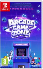 Arcade Game Zone Switch mäng hind ja info | Arvutimängud, konsoolimängud | kaup24.ee