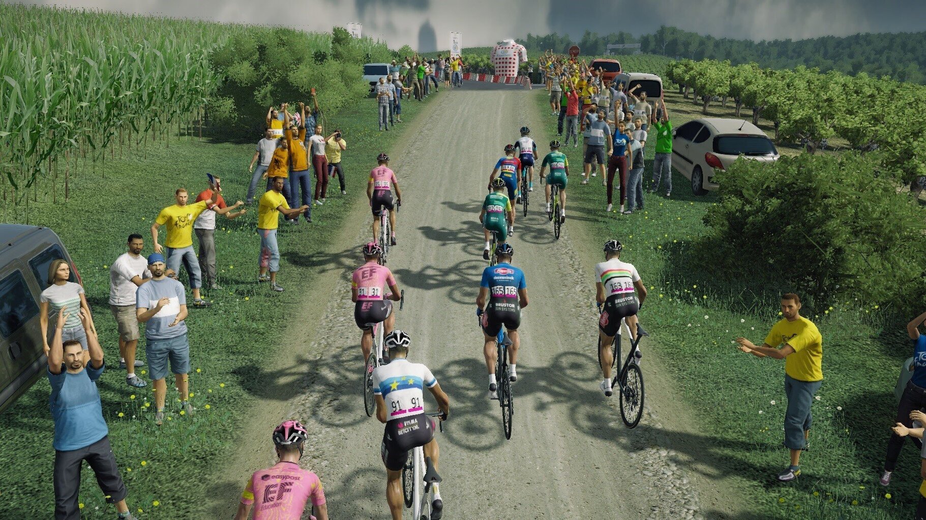 Tour de France 2024 Playstation 5 PS5 mäng hind ja info | Arvutimängud, konsoolimängud | kaup24.ee