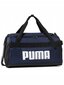 PUMA SPORTS BAG 079531-02 mahukas treeningkott basseinitreeninguks M цена и информация | Spordikotid, seljakotid | kaup24.ee