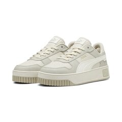 Puma Обувь для женщин Carina Street Animal Fever Beige Gray 398921 01 398921 01/6.5 цена и информация | Кроссовки для мужчин | kaup24.ee