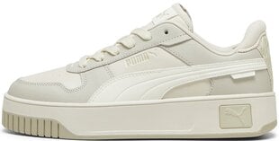 Puma Jalatsid Naistele Carina Street Animal Fever Beige Gray 398921 01 398921 01/6.5 hind ja info | Spordi- ja vabaajajalatsid meestele | kaup24.ee