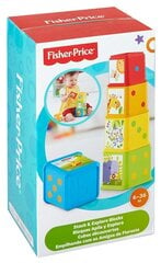 Fisher Price кубики цена и информация | Drewniana Wieża Piramida Kura Nakładanie Kolorowych Kwadratów LD-15 15276 | kaup24.ee