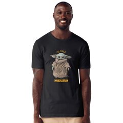 Yoda Mandalorian T-särk: Star Wars fännide T-särk XS hind ja info | Meeste T-särgid | kaup24.ee