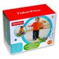 Mänguasi Fisher Price Kilpkonn hind ja info | Imikute mänguasjad | kaup24.ee