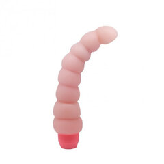 Vibraator Boss Of Toys Baile Flexi Vibe Sensual Spine, 1 tk hind ja info | Vibraatorid | kaup24.ee