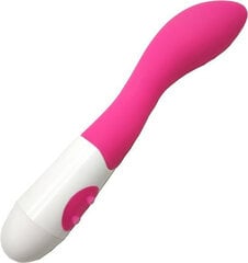 Boss Of Toys Carly g pink 20 cm silicone vibrating 10 speed цена и информация | Вибраторы | kaup24.ee