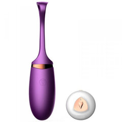 Vibraator Boss Of Toys Vibrating Silicone Love Egg, lilla hind ja info | Vibraatorid | kaup24.ee