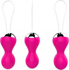 Boss Of Toys Kulki-Vibrating Silicone Kegel Balls USB 10 Function / Remote control -Pink цена и информация | Анальные игрушки | kaup24.ee