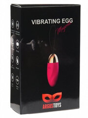 Vibraator Boss Of Toys Vibrating Egg, roosa hind ja info | Vibraatorid | kaup24.ee